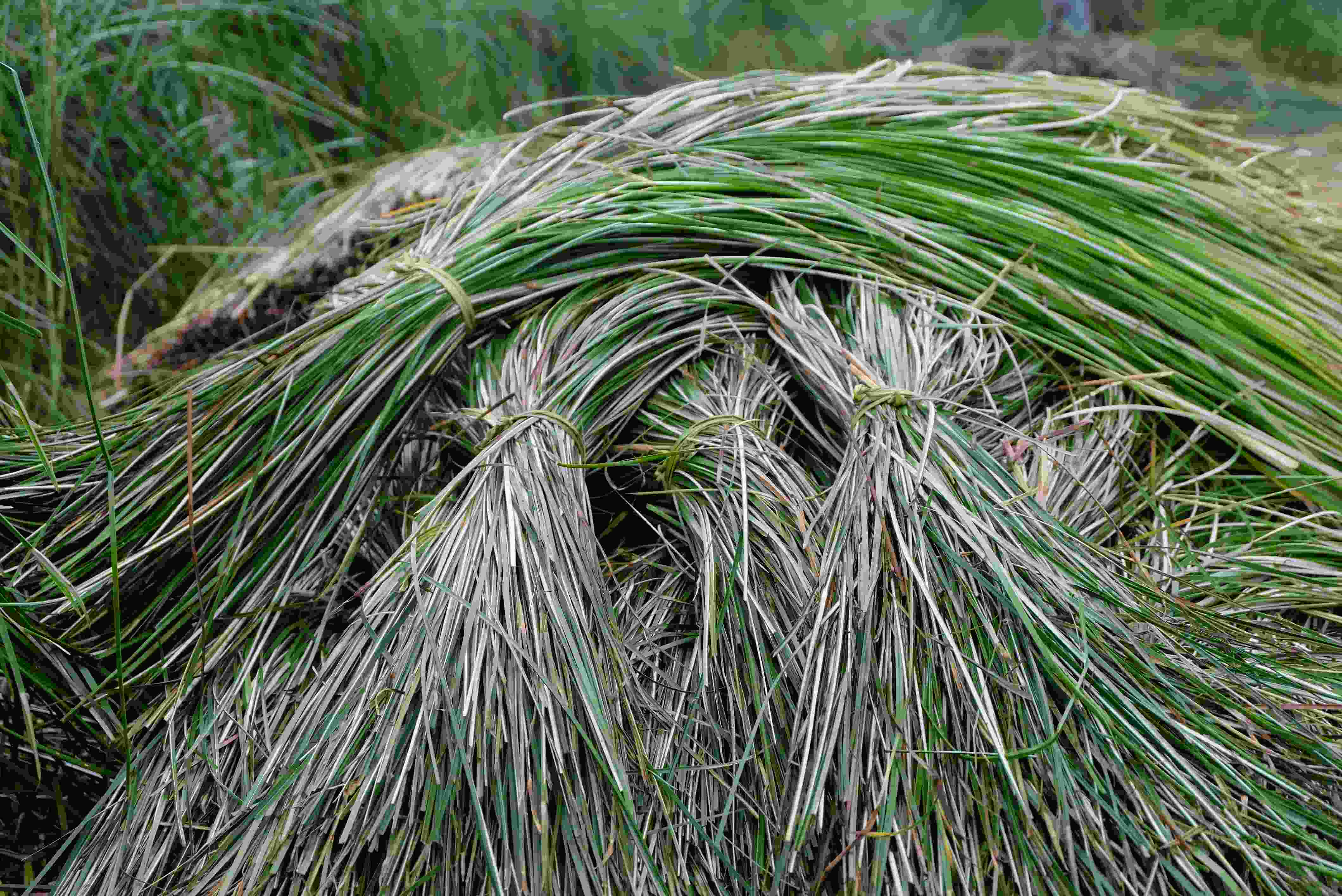raw materials of Viet Trang Craft