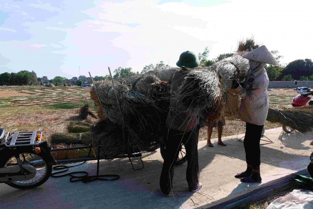 Artisans at Viet Trang weaving natural fiber homeware by hand in Nga Son, Vietnam.