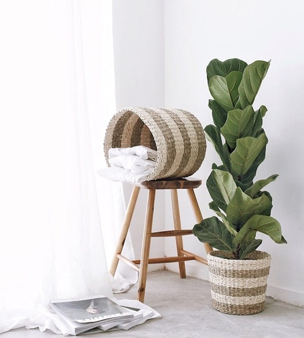 Greenery collection 1