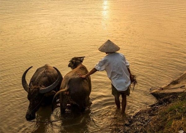 Mekong river collection 3