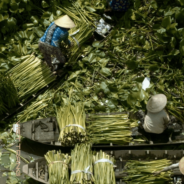 water hyacinth basket manufacturer