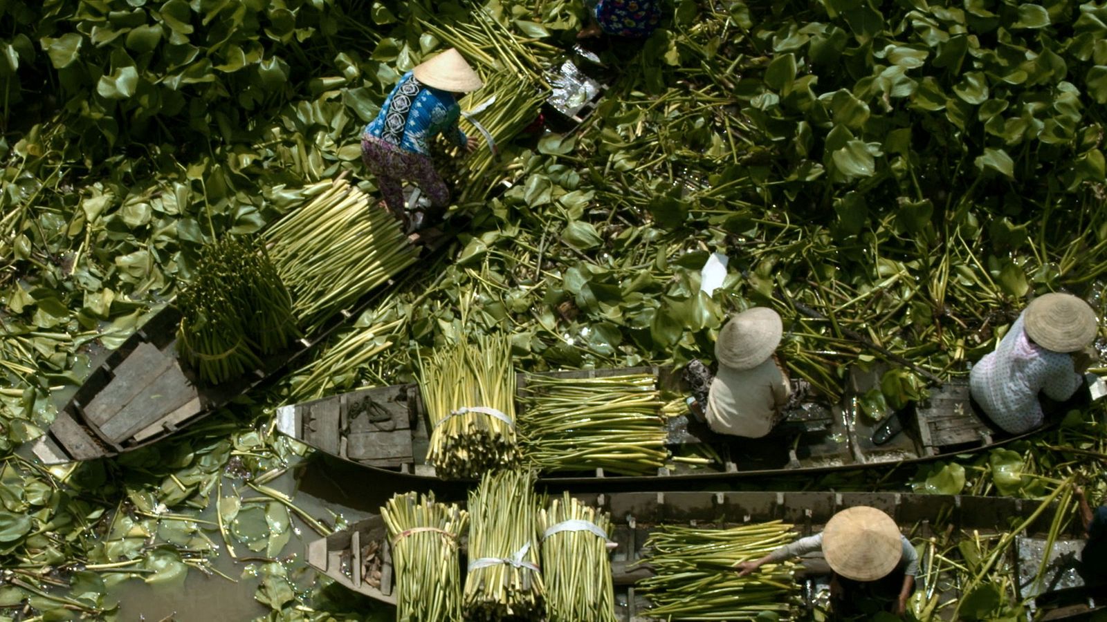 water hyacinth basket wholesale
