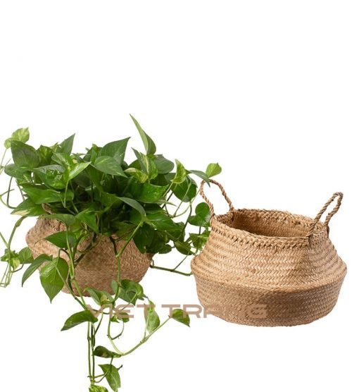 Seagrass belly basket using as planter