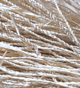 palm leaf husk material