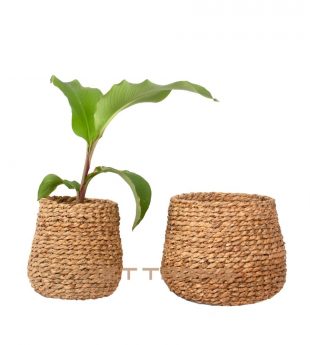 SowL - Natural Woven Planter WS-B26