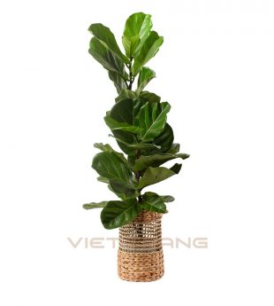 Water Hyacinth Planter Tree Collar with durable handles