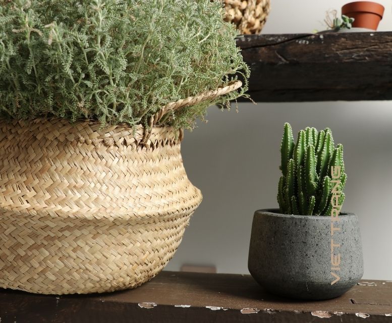 woven planter basket