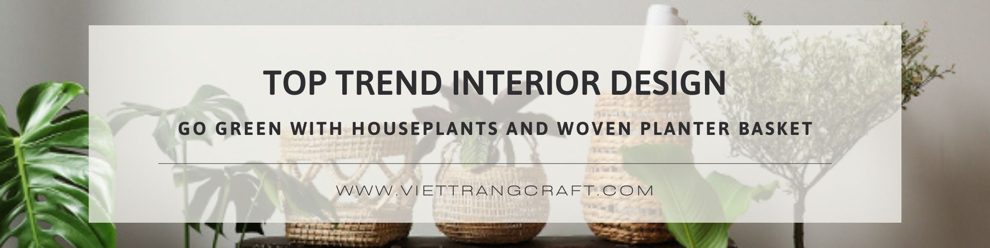 woven planter basket