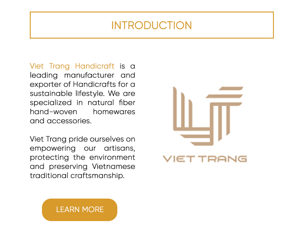 introduction to VIet Trang