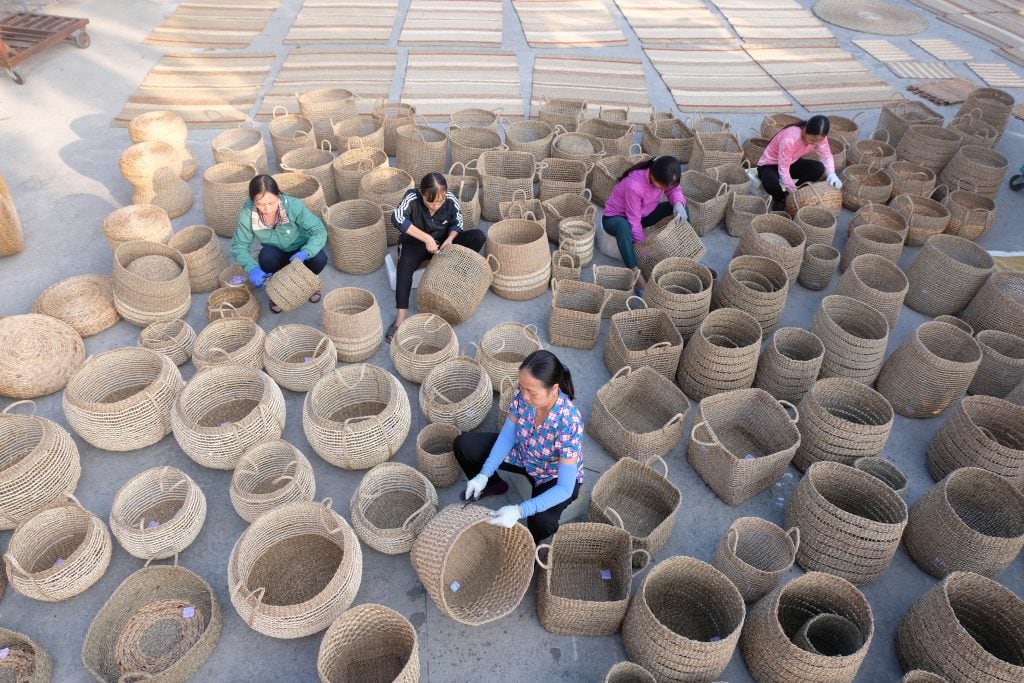 Women weaving large natural fiber baskets in the factory yard at Viet Trang in Vietnam.