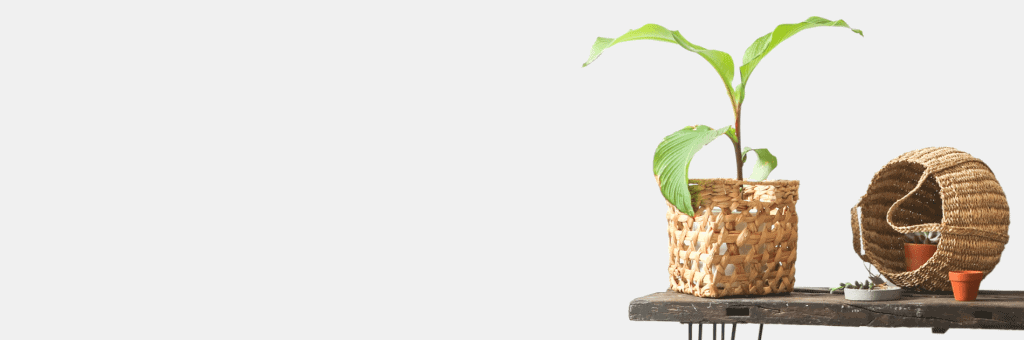 Woven pot cover styled with a plant on a console table.