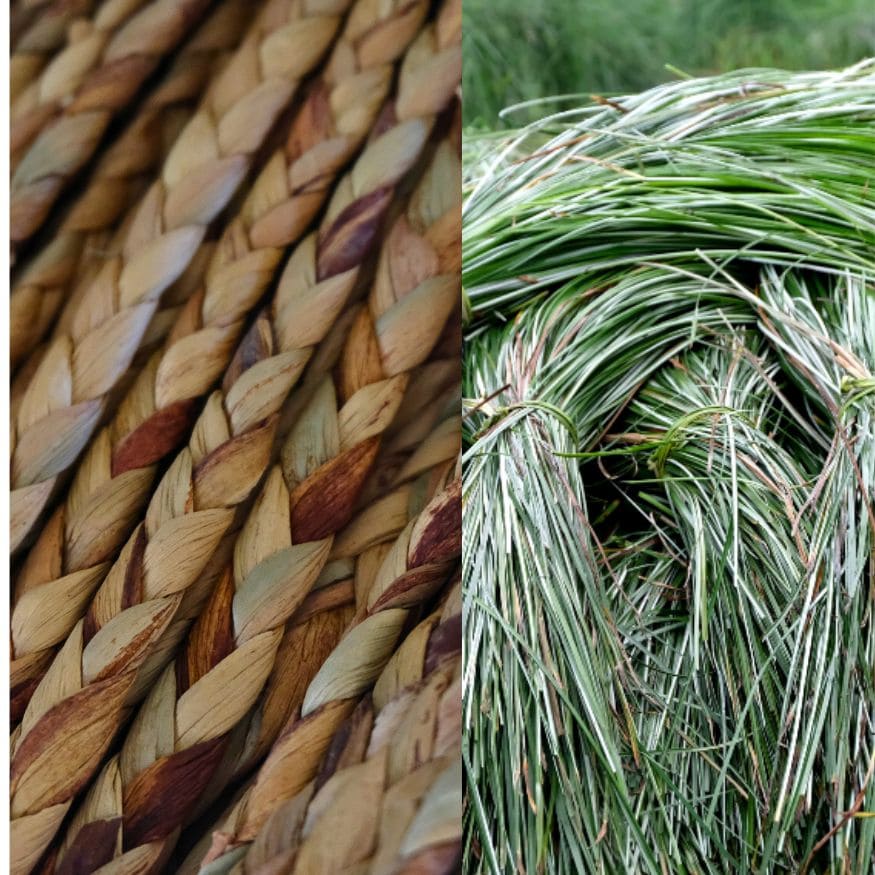 Close-up comparison of braided water hyacinth fiber and raw seagrass from Nga Son, Vietnam.