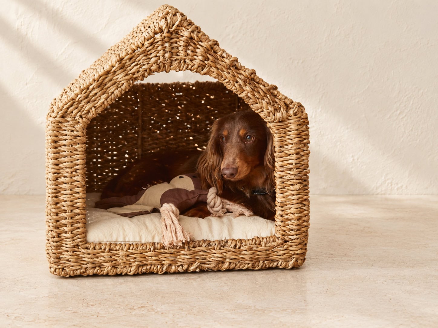 Pitched-Roof Seagrass Pet House