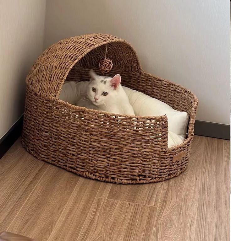 Handwoven Cat Bed with Hanging Toy Ball