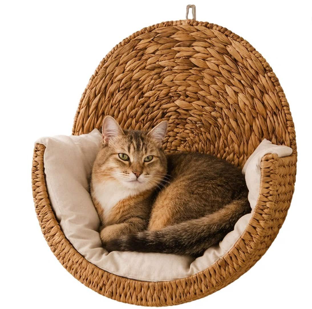 Handwoven Water Hyacinth Wall-Mounted Cat Bed